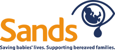 SANDS LOGO