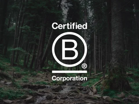 certified B Corporation logo against a dark conifer woodland