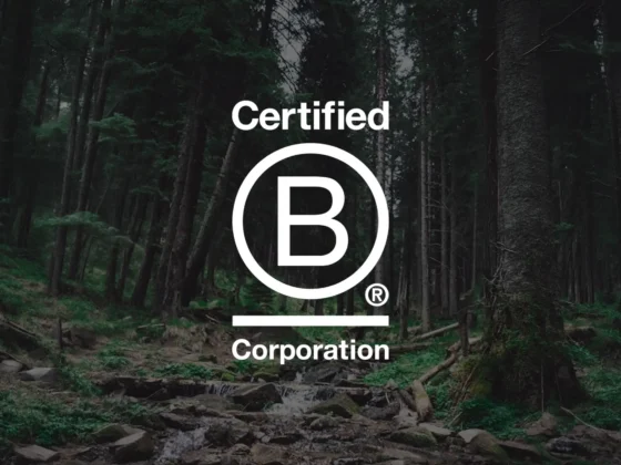 certified B Corporation logo against a dark conifer woodland