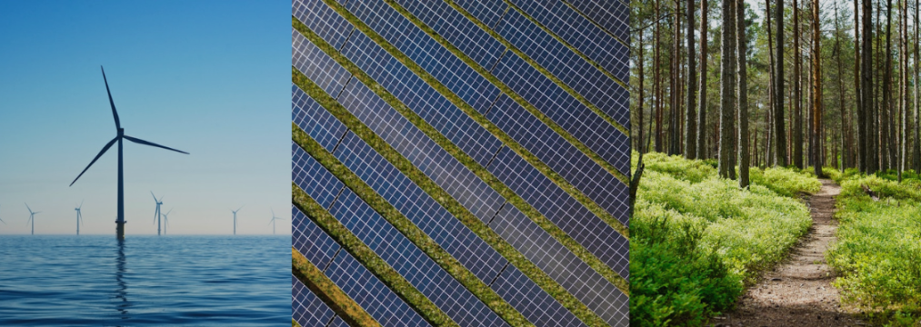 Impact banner depicting wind turbines, a solar farm and a forest path
