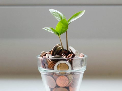 Financial Growth